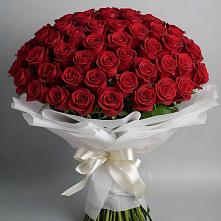 Букет 101 Красная роза Блэк Мэджик в Копанище