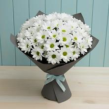 Букет цветов из:  Хризантемы #REPLACE_PRED# Копанище