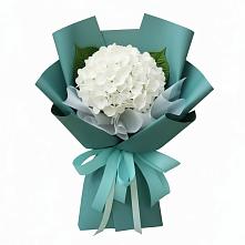 Букет цветов из:  Гортензия #REPLACE_PRED# Копанище